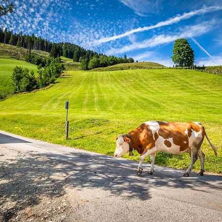 Bauernhaus Bichl Sankt Johann im Pongau Buitenkant foto