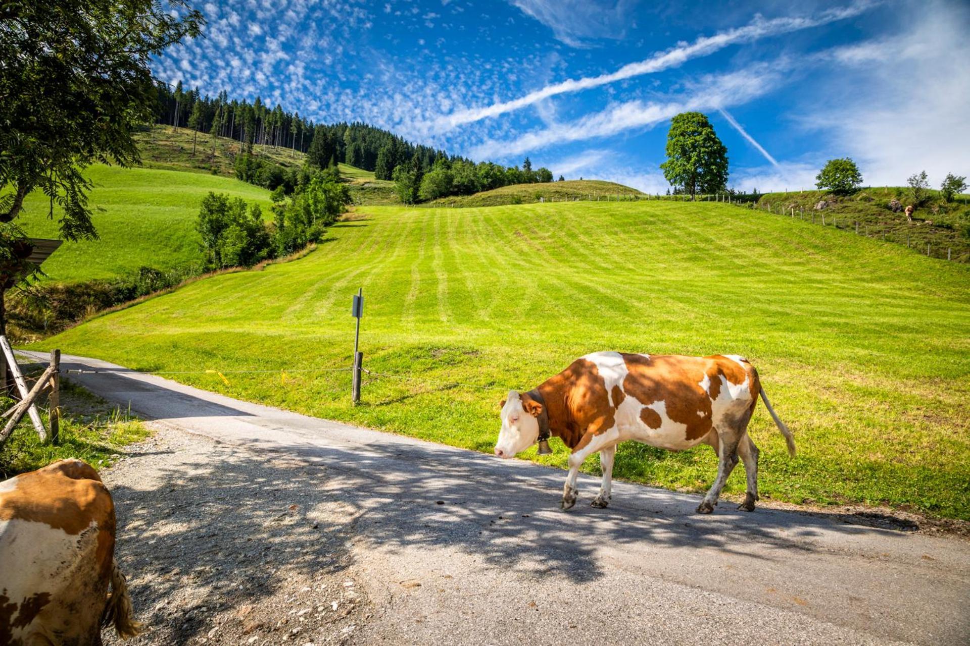 Bauernhaus Bichl Sankt Johann im Pongau Buitenkant foto