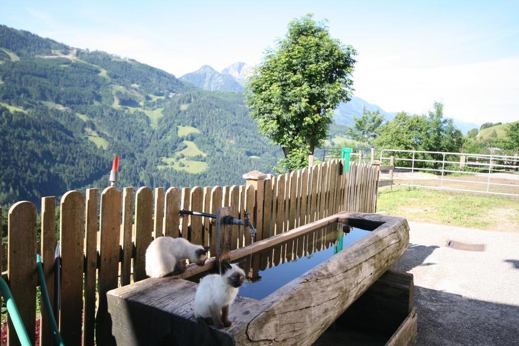 Bauernhaus Bichl Sankt Johann im Pongau Buitenkant foto